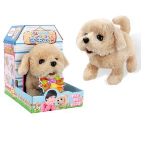 Plush puppies electric toy (Option: Golden Retriever)