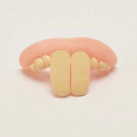 Rabbit Tooth Corgi Whole Toy Funny Funny False Teeth Set (Option: Rabbit Teeth)