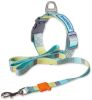 Touchdog 'Trendzy' 2-in-1 Matching Fashion Designer Printed Dog Leash and Collar