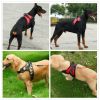 Dog Chest Strap Traction Rope Explosion proof Flushing Dog Chest Strap