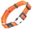 Pet Life 'Advent' Outdoor Series 3M Reflective 2-in-1 Durable Martingale Training Dog Leash and Collar