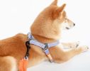 Touchdog 'Macaron' 2-in-1 Durable Nylon Dog Harness and Leash