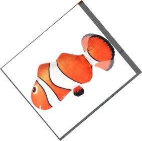 Electric Funny Cat Simulation Fish Beating Usb Jumping Cat Toy (Option: Clownfish B)